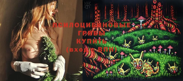 стафф Балабаново