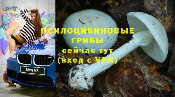 стафф Балабаново