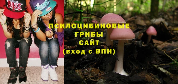 стафф Балабаново