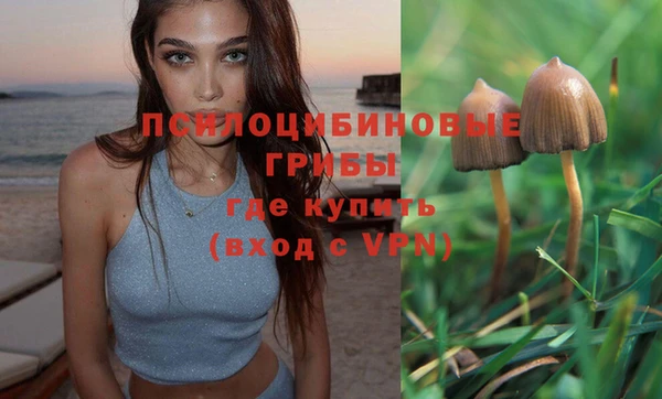 стафф Балабаново
