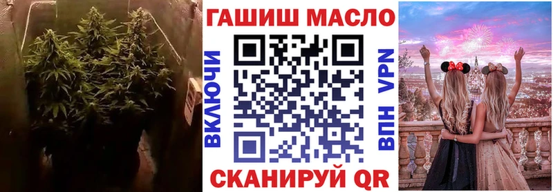 как найти закладки Кыштым ТГК THC oil